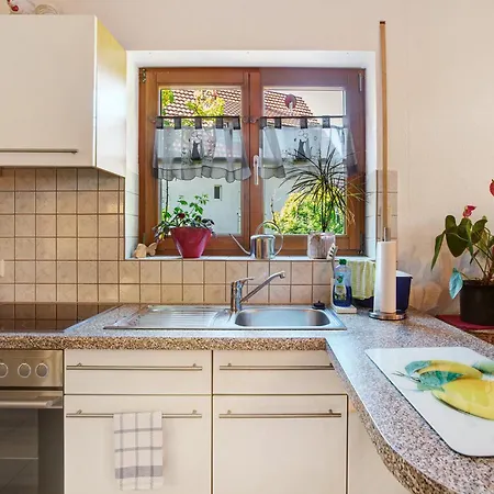 坚果树下公寓 公寓 *